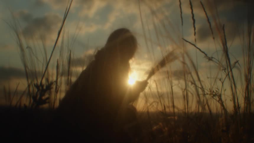 A person is holding stalks of grass