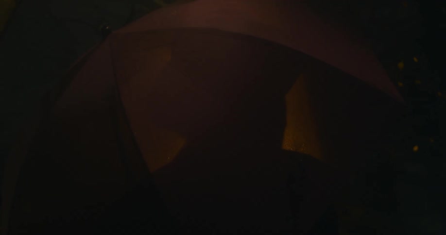 A person is standing in the yard with an umbrella