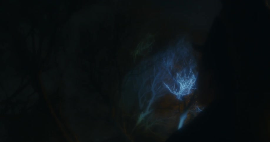 A light shining on branches in the dark
