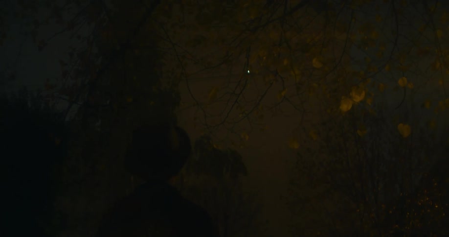 A person in a hat and coat stands looking up at the moon in the nights sky between tree branches