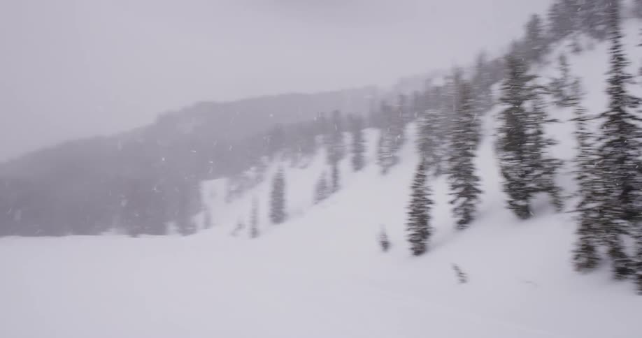 A snowy blustery view of mountains and trees