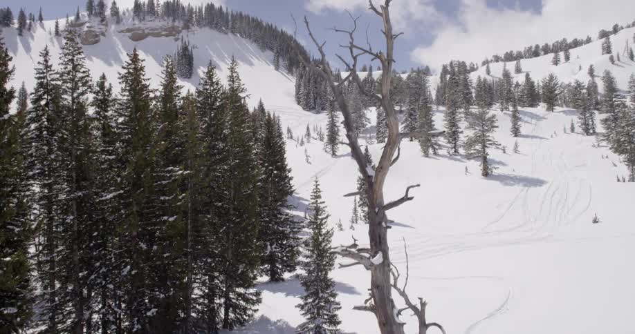 Snow covers a forested area