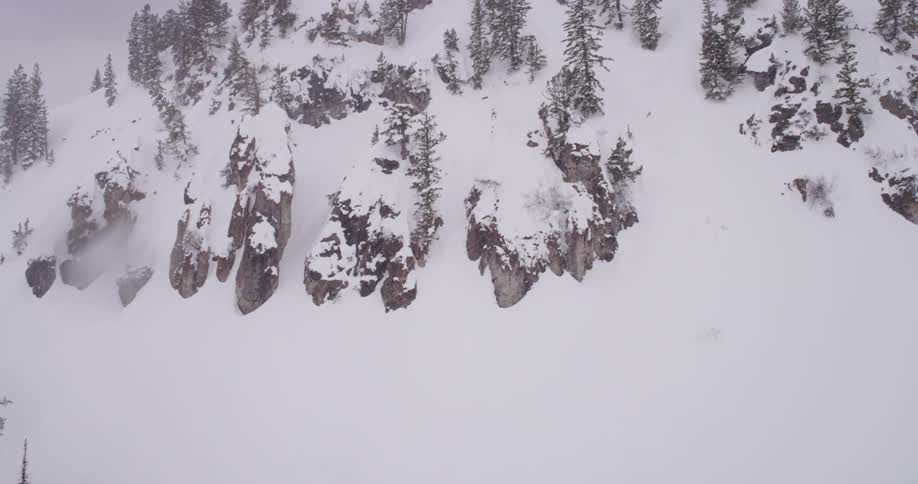 View of a tree covered mountain on a snowy day