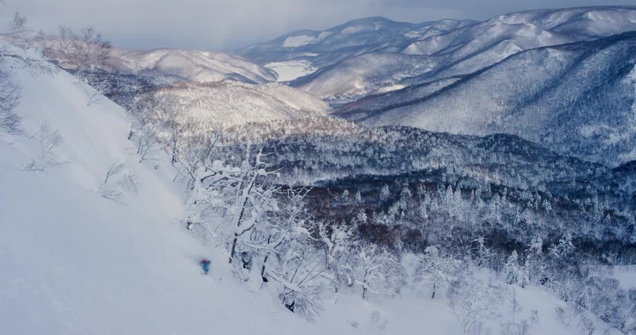 A person skiing down a snowy slope with trees and a mountain range in the background
