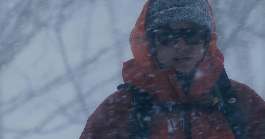 Man wearing cold weather gear walks among trees during snowstorm