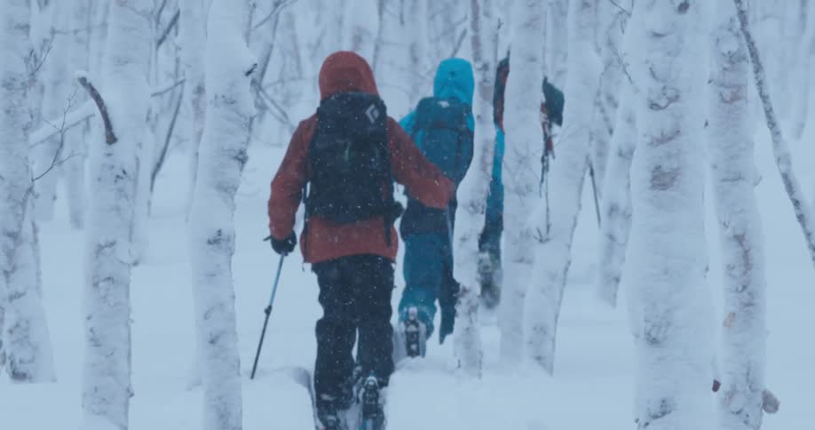 A group of hikers walk through a snow covered forest as heavy snow falls from the sky
