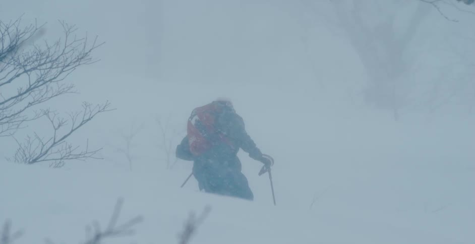A person with a backpack gloves and a coat hiking in a snowy forest with trees