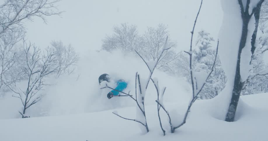 Skier skis through leafless snow crusted trees spraying snow into air
