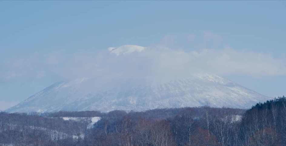 Clouds flow past briefly obscuring summit of snow covered mountain towering over forest