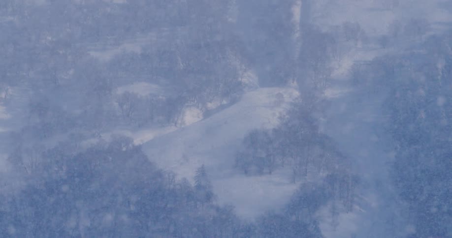A snow covered hillside with many trees on it is obscured by a countless snowflakes drifting by