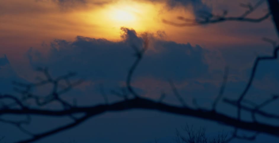 The sun setting over a bare tree branch in nature