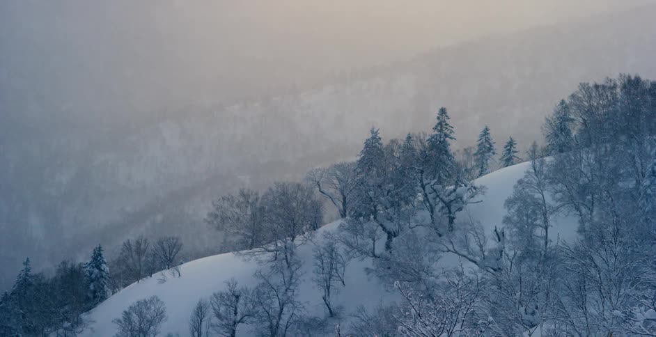 Snowflakes falling over a placid landscape of forests on snow covered mountains at sunset