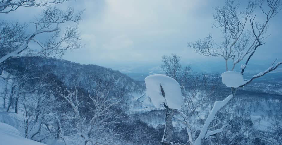 A landscape view of a snow covered forest