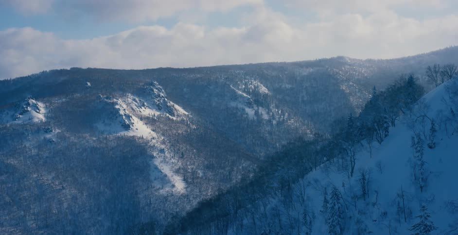 Mountain peaks and trees peak out under a thick layer of snow on a mountain range
