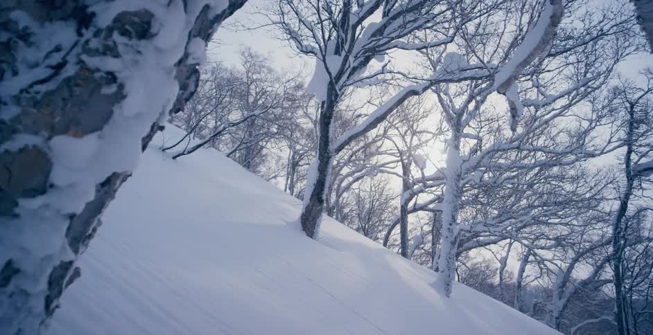 A thick blanket of snow covers the ground and trees in a forest