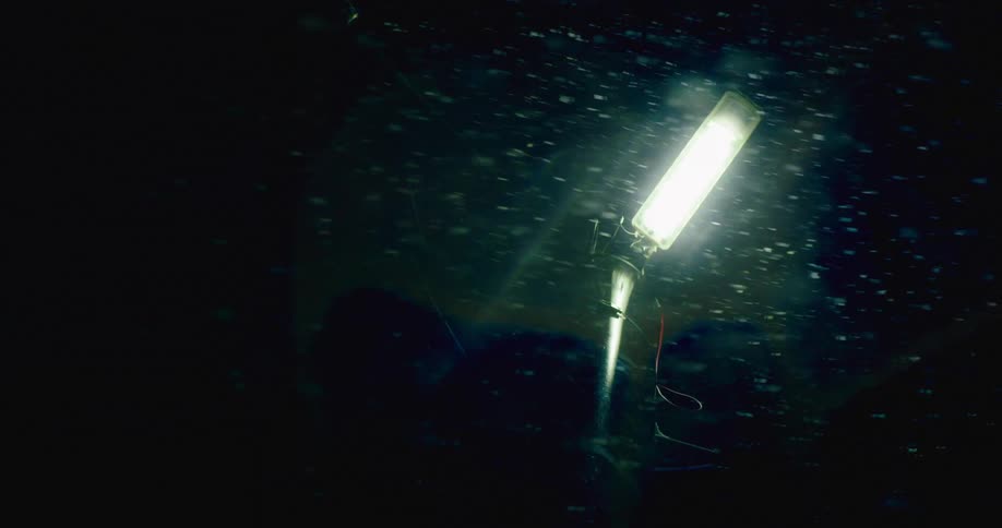 Snow flying in front of a light during a blizzard at night