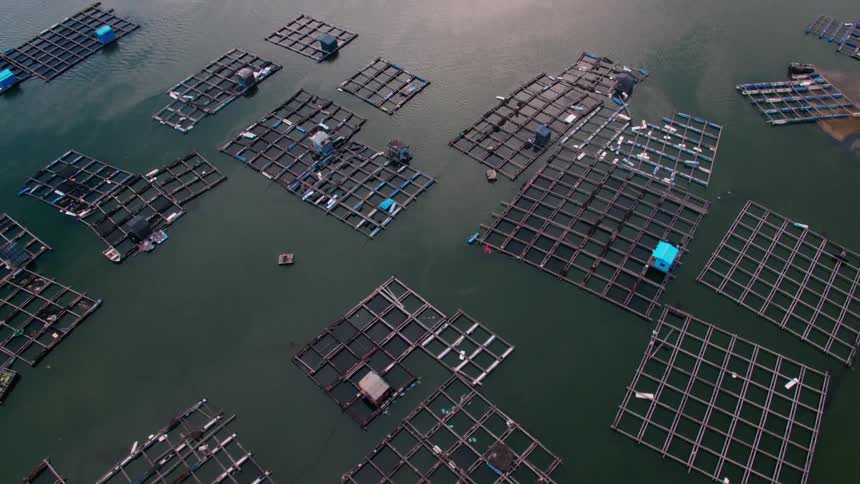 The pier is empty near the shore