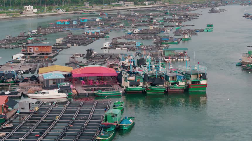 Many boats sit docked in the lake