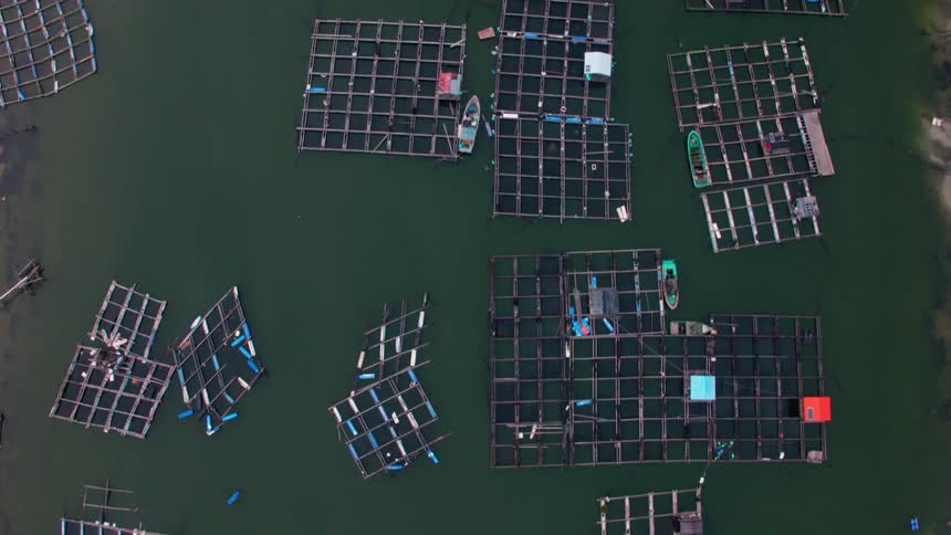 Aerial view of a fish farm in Southern China
