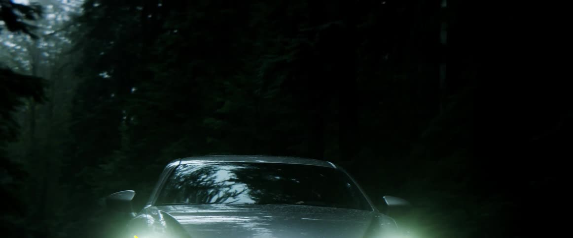 A car is driving past a dark forest
