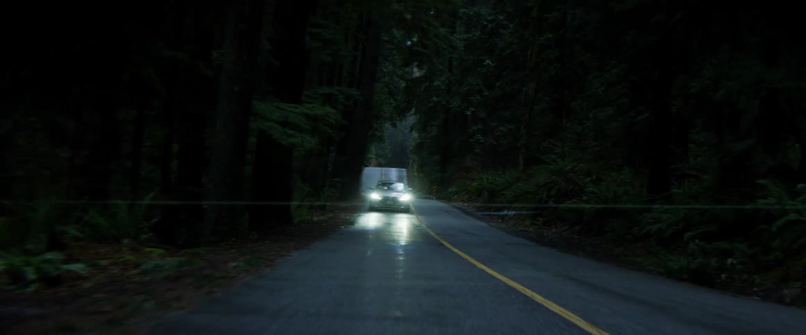 A car driving down a street next to a forest