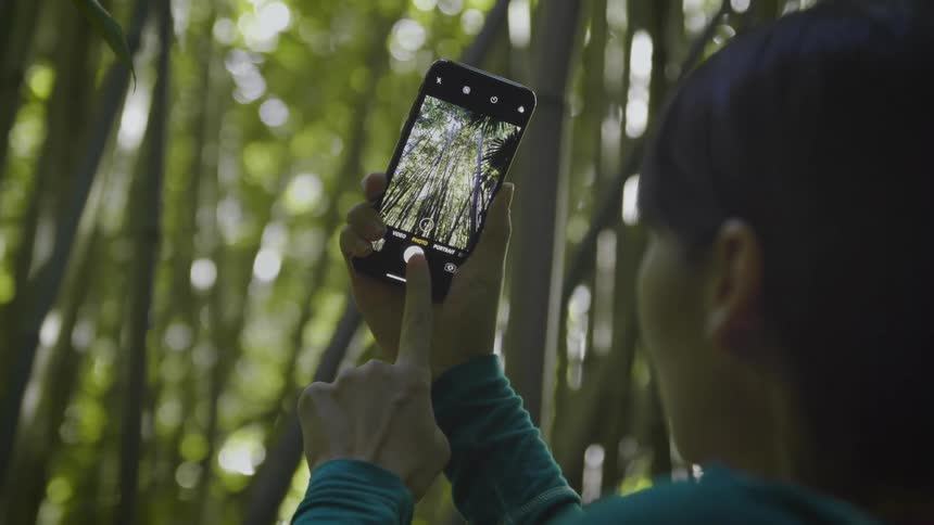 A woman with a smart phone in the forest taking pictures of trees with the sky in the background