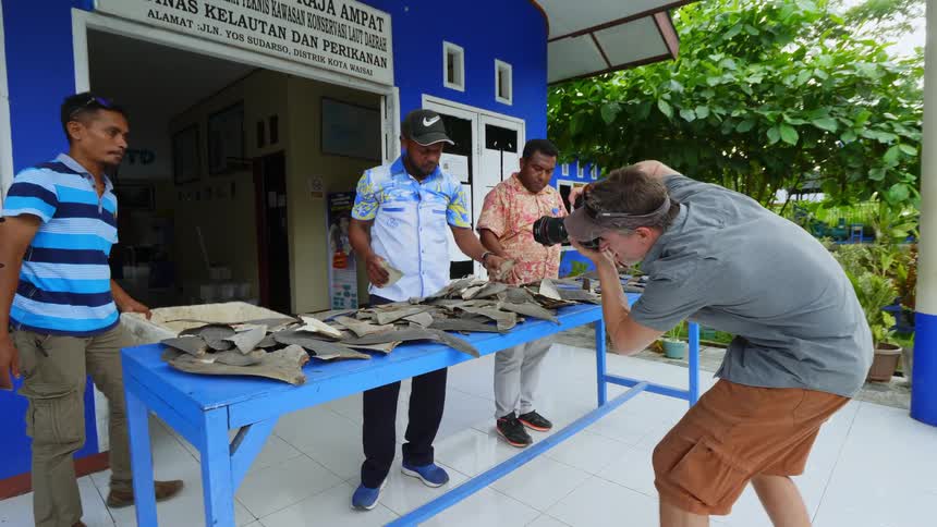 Photographer takes pictures of shark fins displayed on table by three men