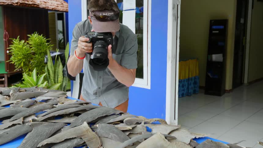 A man with a camera and sunglasses taking pictures of shark fins on a table