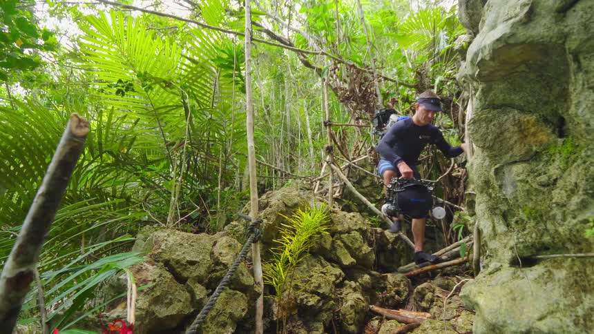 A man carrying camera equipment through a forest on a hike