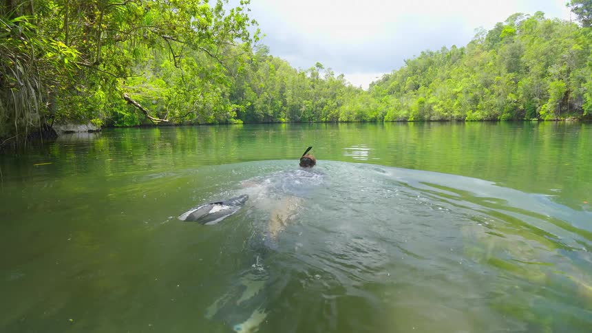 A man with snorkeling equipment and a camera slides off a dock and in to the water and swims away