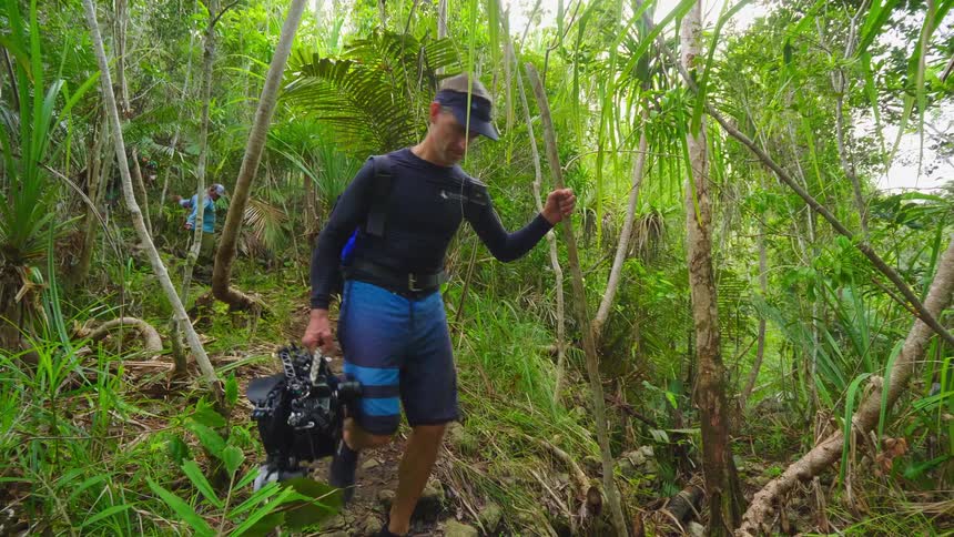 A man carrying camera equipment walks through a forest as another man follows behind him
