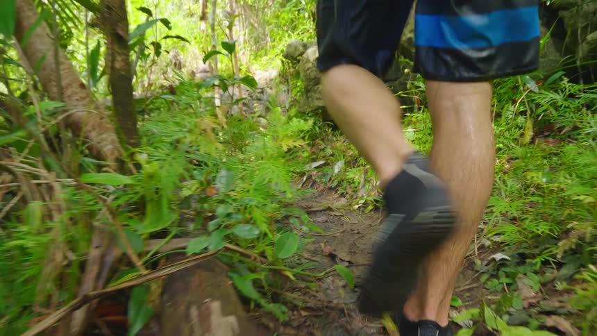 A man walks along a narrow dirt path through a forest during the day