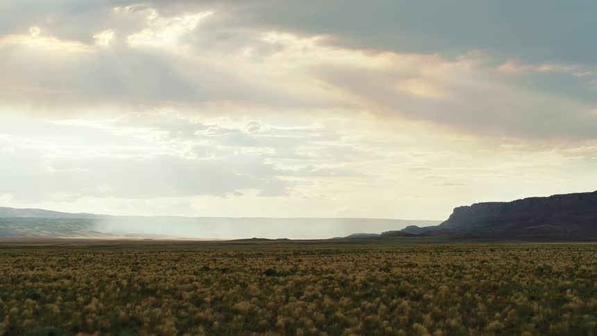 A very large field of flowers covers the valley between a mountain range and the sea