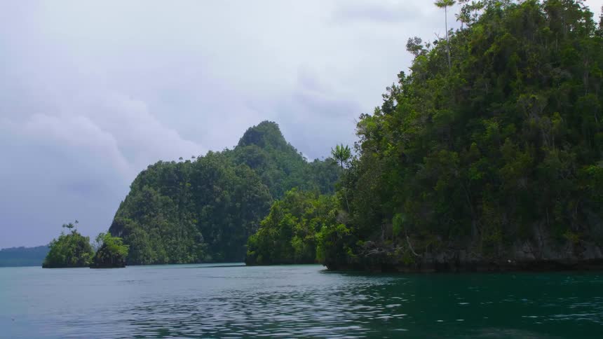Aerial view of a lake surrounded by trees is displayed