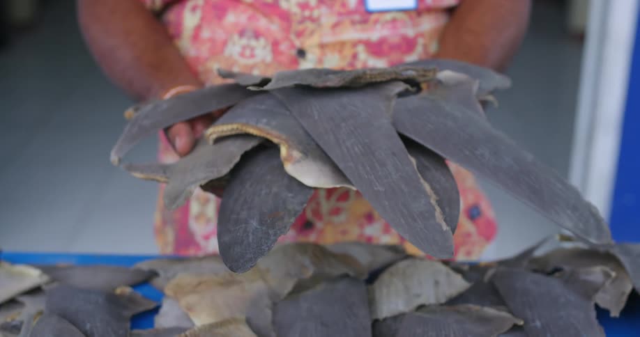 A man stands behind a table at a market and holds shark fins