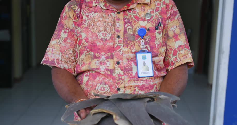 A man standing in front of a table holding shark fins