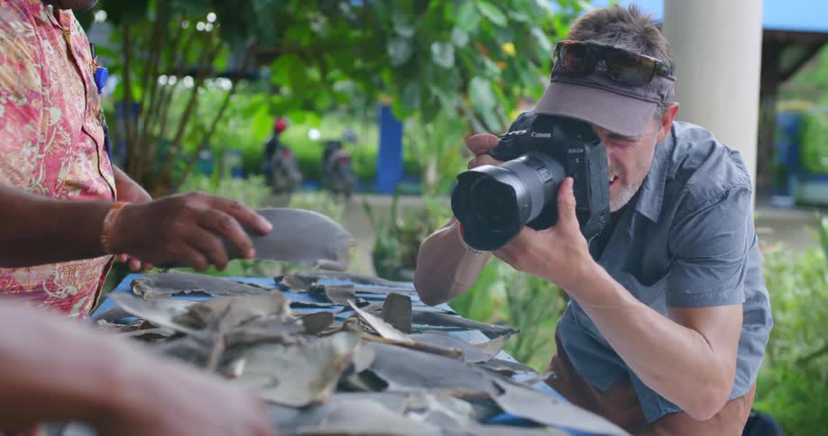 Photographer takes pictures of shark fins as they are set out by people