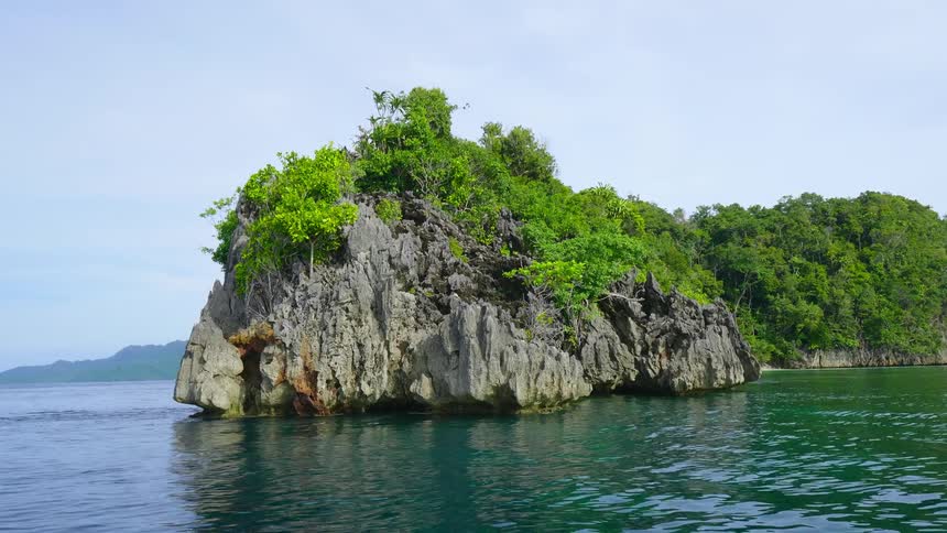 A small stone island covered in vegetation in the bluegreen waters of the ocean under a clear daytime sky