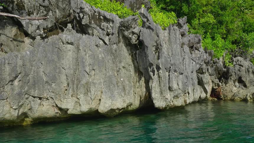 Rocky cliffs on a coastline on a summer day