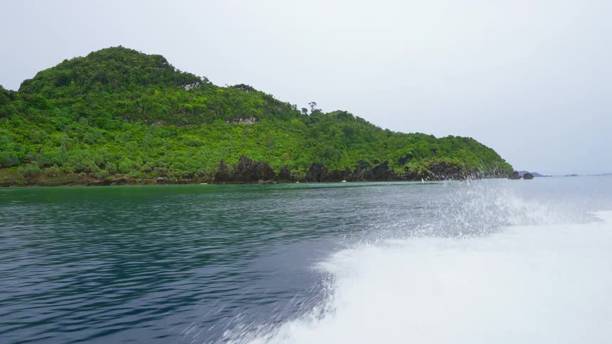 An uncolonized island covered in vegetation on the ocean on a cloudy day
