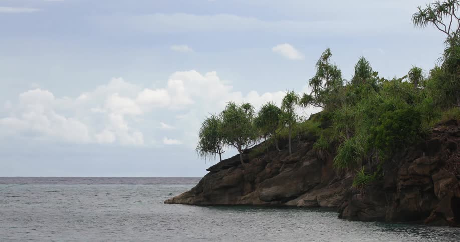Landscape view of a lake at the shore