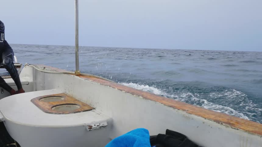 Divers go into the water from the boat