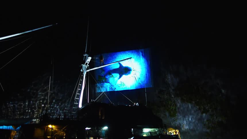 Man on mast stands in front of a screen playing images