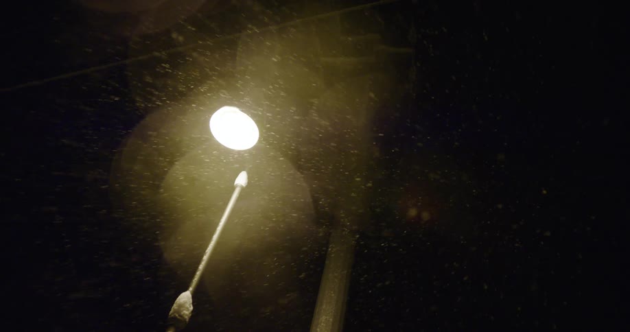 Snowflakes fall through light from streetlight at night