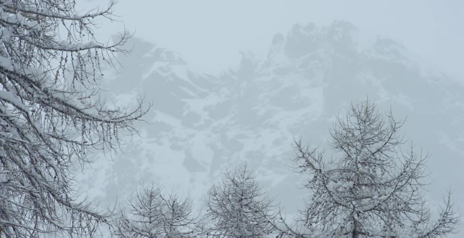 Snow is covering the trees and mountains