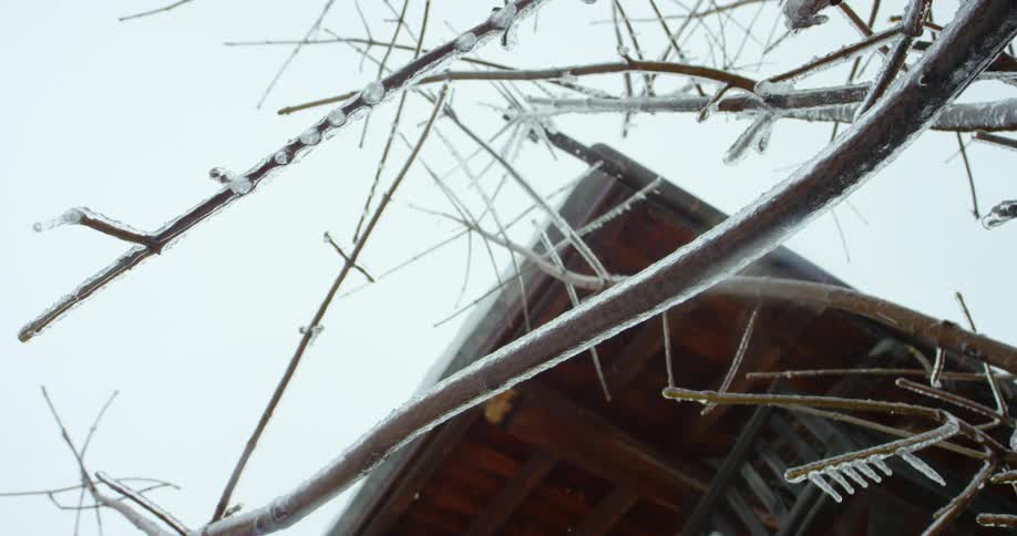 Ice melts and drips off the rooftop of a wooden cabin and frozen tree branches