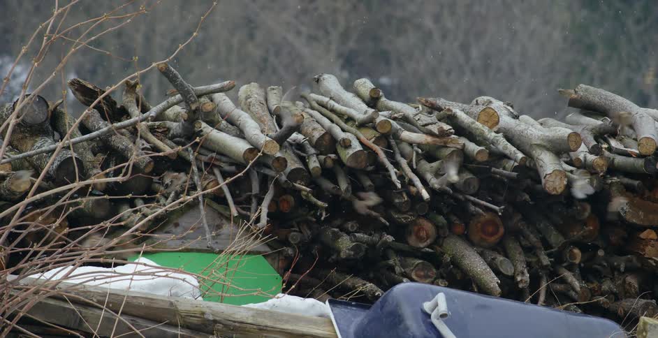 A flock of birds flying over a pile of cut logs
