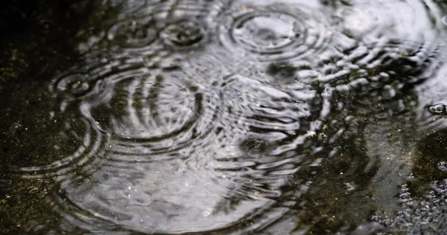 Raindrops fall on surface of puddle