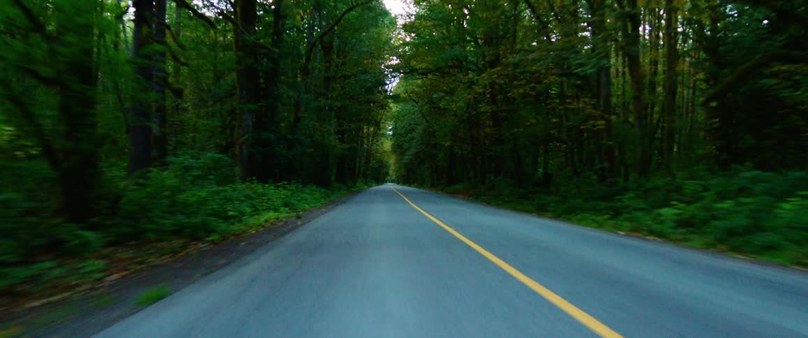 A road in the middle of a forest