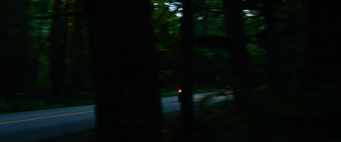 A biker rides a motorcycle along a road through a woodland in the evening